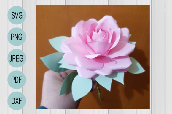 Precious Lali Rose: 3D SVG Shapes for Editorial Design